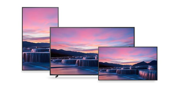 BRAVIA-Displays_600x300.png