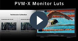 PVM-X-Monitor-Luts.png