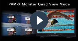 PVM-X-Monitor-Quad-View-Mode.png