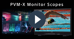 PVM-X-Monitor-Scopes.png