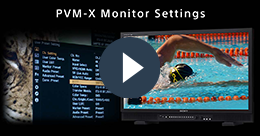 PVM-X-Monitor-Settings.png